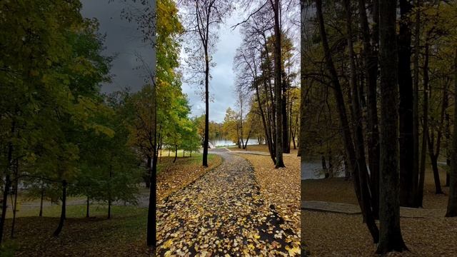 М.Ю.Лермонтов. Стих "Прощай немытая Россия". смотреть онлайн