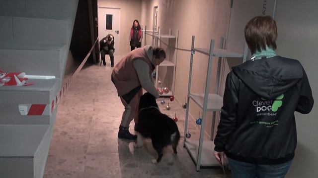 Джет норзворк 1 класс Предметы 11.12.21 смотреть онлайн