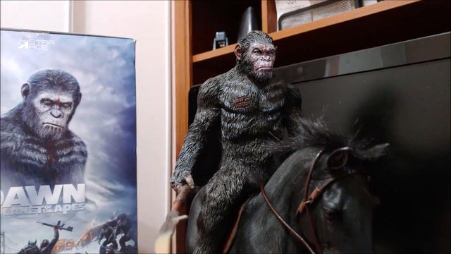 Star Ace and X-Plus 1/6 Dawn Of The Planet Of The Apes Caesar Statue Review смотреть онлайн