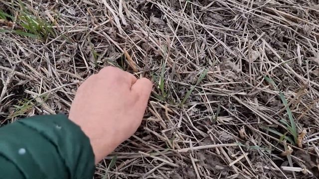 organic no till соя чернозем 6.04.2022 смотреть онлайн