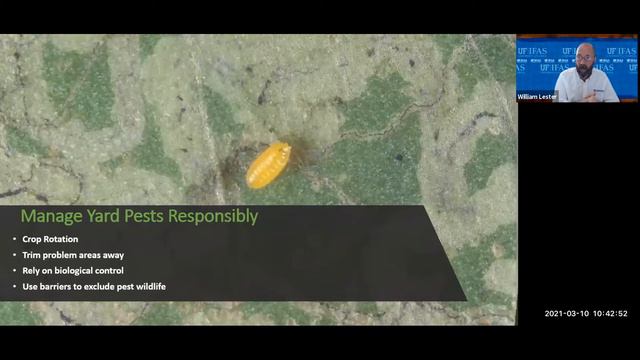 Florida-Friendly Landscapes Good Enough to Eat – Incorporating Edibles into Your Existing Landscape смотреть онлайн