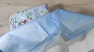 Как приучить щенка к пелёнке быстро?