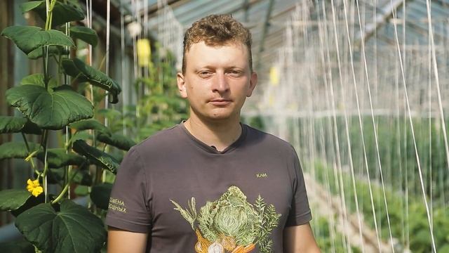 Ассортимент семян огурцов от Бейо Заден на тепличном комбинате. смотреть онлайн