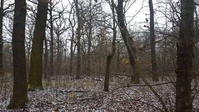 ГСВГ. Altes Lager, на территорию в/ч47280, не проходя КПП 11.12.2022 смотреть онлайн