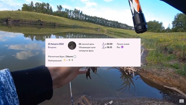 Прогноз клёва рыбы на неделю с 22 по 28 августа. Календарь клёва по фазам луны на каждый день смотреть онлайн