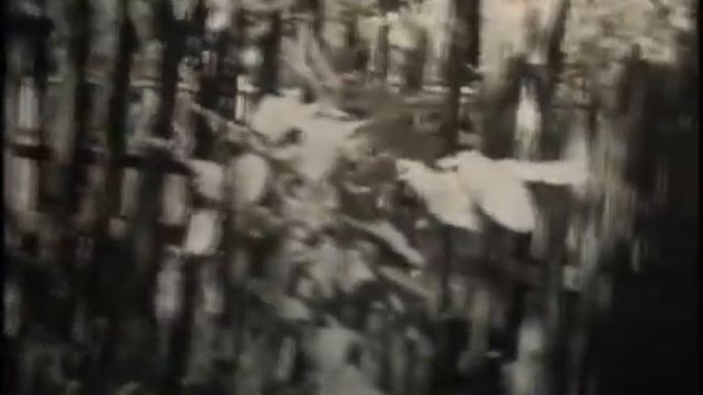 Ковыляйские хроники смотреть онлайн