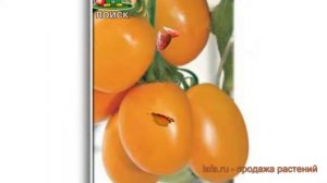 Томат обыкновенный Де Барао золотой ? обзор: как сажать, семена томата Де Барао золотой