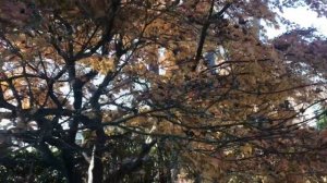 Жизнь на юге Англии. Переезд в Тайланд. Нашла любовь. С кем ездила.