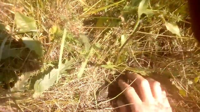 Коп где стояла кругляшка смотреть онлайн