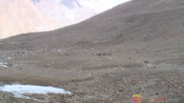 Mt. Kailash Tibet Kora
