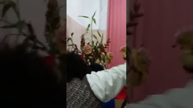ministério Aldo costa смотреть онлайн