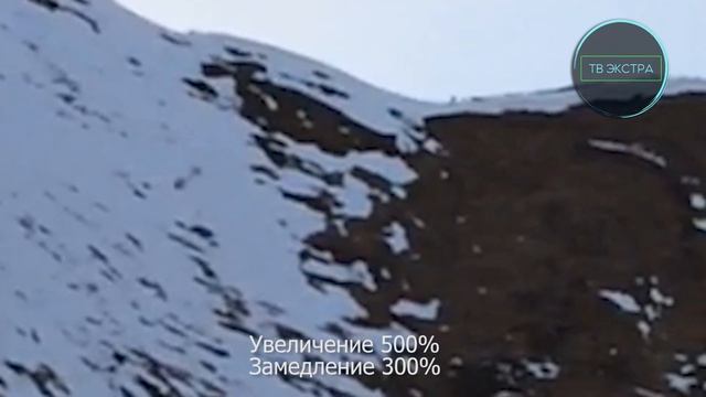 Видео снежного человека смотреть онлайн