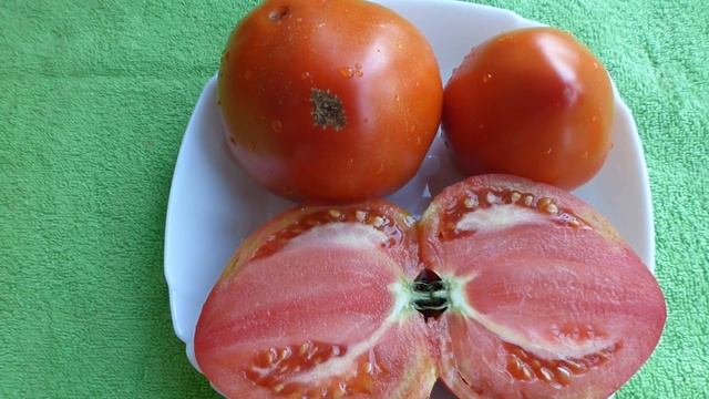 сорта томатов в разрезе Аметистовое сердце Анна русская Адора из Раф Белорусское сердце Бычье сер смотреть онлайн
