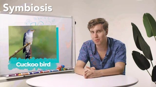 Interspecific and Intraspecific Competition: Relationships in Our Environment with Payton M. смотреть онлайн