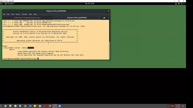 Demo of Migration Utility for Migrating GoldenGate Classic Architecture into Microservices смотреть онлайн