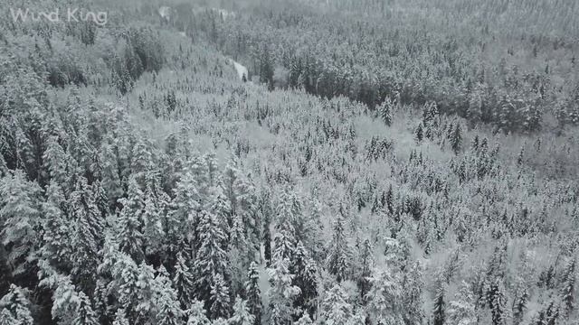 Республика Карелия | Ладожское озеро | Водопад | 4K | WIND KING