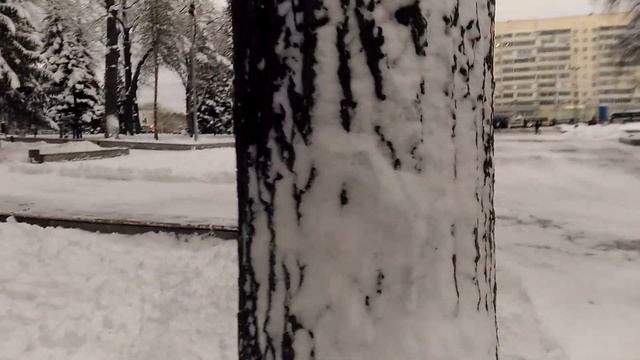 город уфа морозный вечер 30 11 2023 парк сквер дубки\город дворец культуры проспект фонтан журавли смотреть онлайн