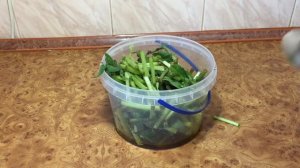 МЕДУНИЦА: что приготовить? 5 вкусных рецептов с медуницей.