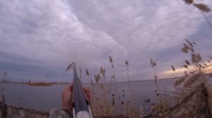 Охота на северную утку 2020. ТОЗ - 34 супер ружбайка.