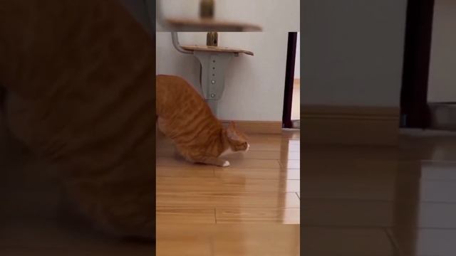 ...на низком старте)? смотреть онлайн