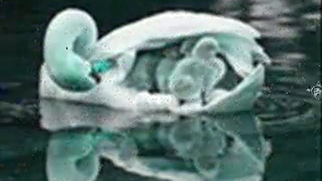 ЛЕБЕДИНАЯ СКАЗКА смотреть онлайн