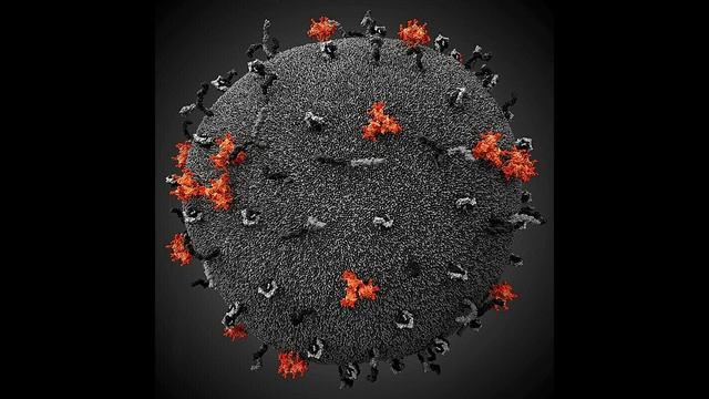 КАК ВЫГЛЯДЯТ ВИРУСЫ ПОД МИКРОСКОПОМ смотреть онлайн