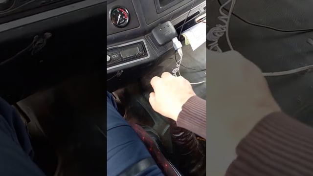 шахман жайында смотреть онлайн