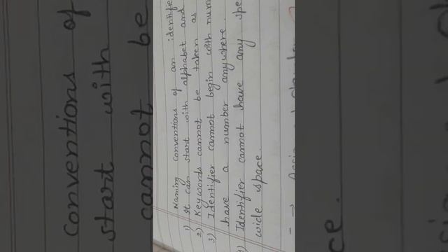 Python Functions Chapter: Naming Conventions Class 11th,12th смотреть онлайн