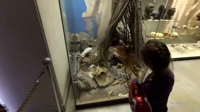 Поход в Дарвиновский музей. Часть вторая. смотреть онлайн