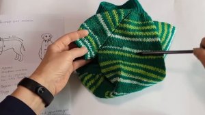 40. Экспресс МК Свитер для таксы