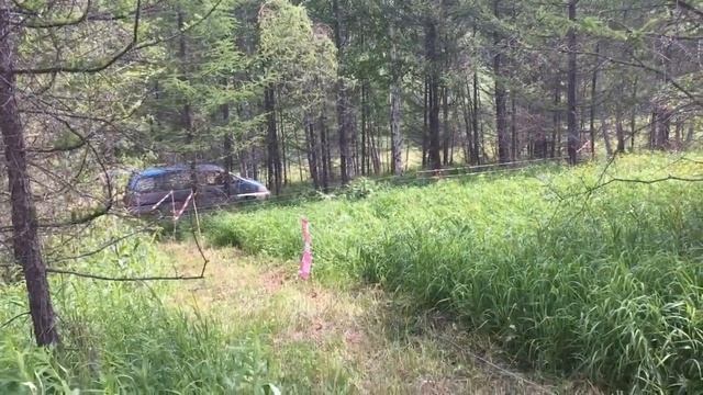 Электро-пастух и Чередование пастбищ смотреть онлайн