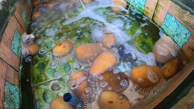 Лучшие места для посещения на Ко Куте! Тайланд 2020 смотреть онлайн