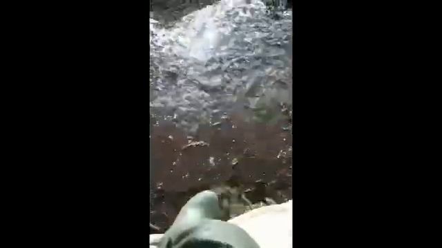 Квадроцикл по воде смотреть онлайн