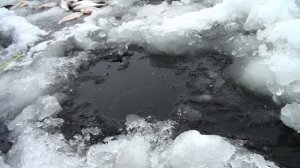 Море плотвы, щуки на жерлицы. Зимняя рыбалка с ночёвкой на Можайском водохранилище. Часть 1