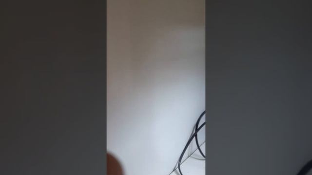 стартовый ролик про моего эублефара