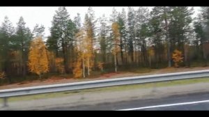 БИ2 - СЧАСТЬЕ/Карелия2020