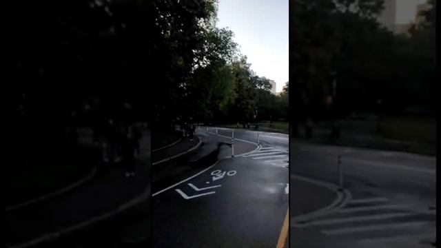 Прогулка в карете по Центральному парку. Вокзал Гранд Централ Терминал. смотреть онлайн