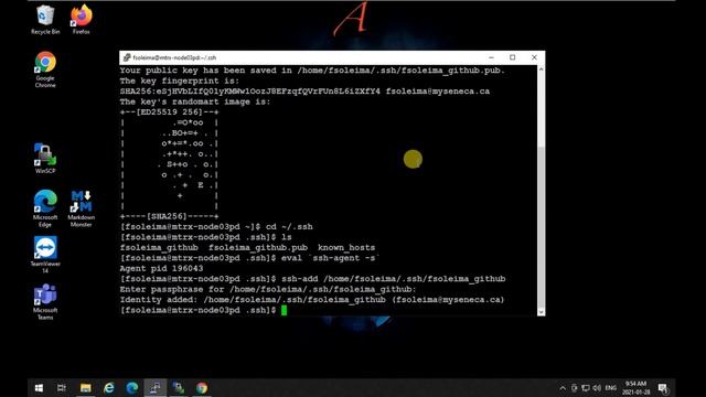 Setting up SSH key on Linux to connect to GitHub account for school work смотреть онлайн