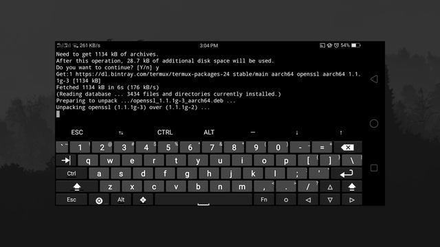 SETUP TERMUX USING ANDROID (FISH, TERMUX-API, GIT and MORE!) смотреть онлайн
