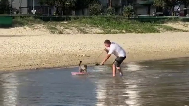 когда живешь рядом с пляжем смотреть онлайн