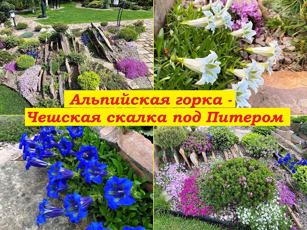 Альпийская горка-чешская скалка под Питером смотреть онлайн