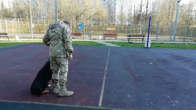 1 мая 2020 г..mp4 смотреть онлайн
