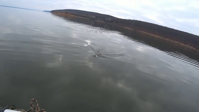 Землянка. Мандула. Ловим судака и щуку. смотреть онлайн