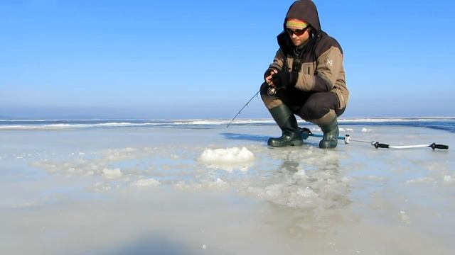Окунь. Балансир. Куршский залив. смотреть онлайн