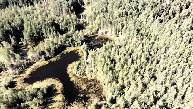 Голубые озёра Визинга 2022 смотреть онлайн