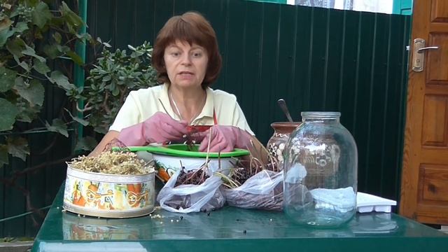 Бузина черная(Sambucus nigra). Полезные свойства бузины. Рецепт приготовления. смотреть онлайн