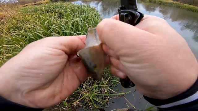 Окунь. Как быстро и легко почистить смотреть онлайн