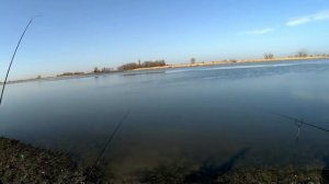 Рыбалка на Дону. Рогожкино. Бешенный клев рыбца. Фидергам-Инлайн