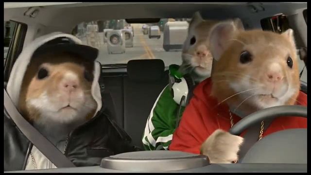 2010 Kia Soul Hamster Commercial Black Sheep Kia Hamsters Video смотреть онлайн
