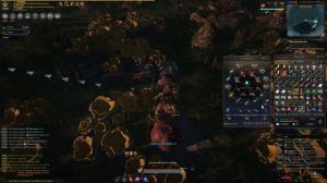 BDO удобный способ сбора кораллов без петов